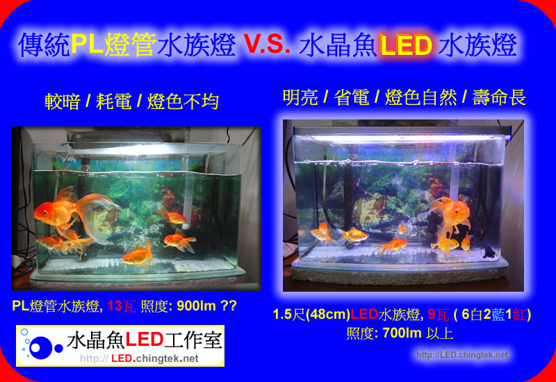 傳統PL燈管水族燈 V.S. 水晶魚LED 水族燈