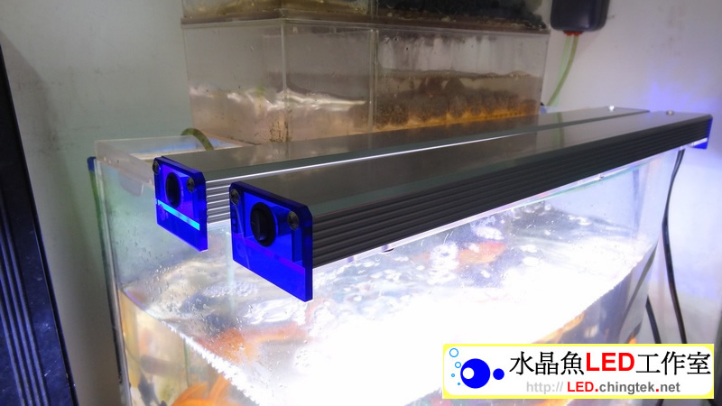 雙LED水族燈組【 水晶魚LED工作室 】
