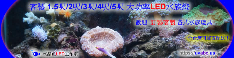 【水晶魚LED工作室 】客製 1.5呎/2呎/3呎/4呎/5呎 大功率LED水族燈