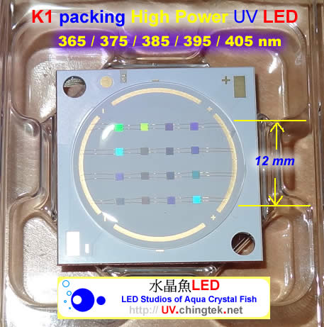 工業級 COB 極致版 UV LED紫外燈 (UVA 365/385/395/405nm) 【水晶魚LED工作室】